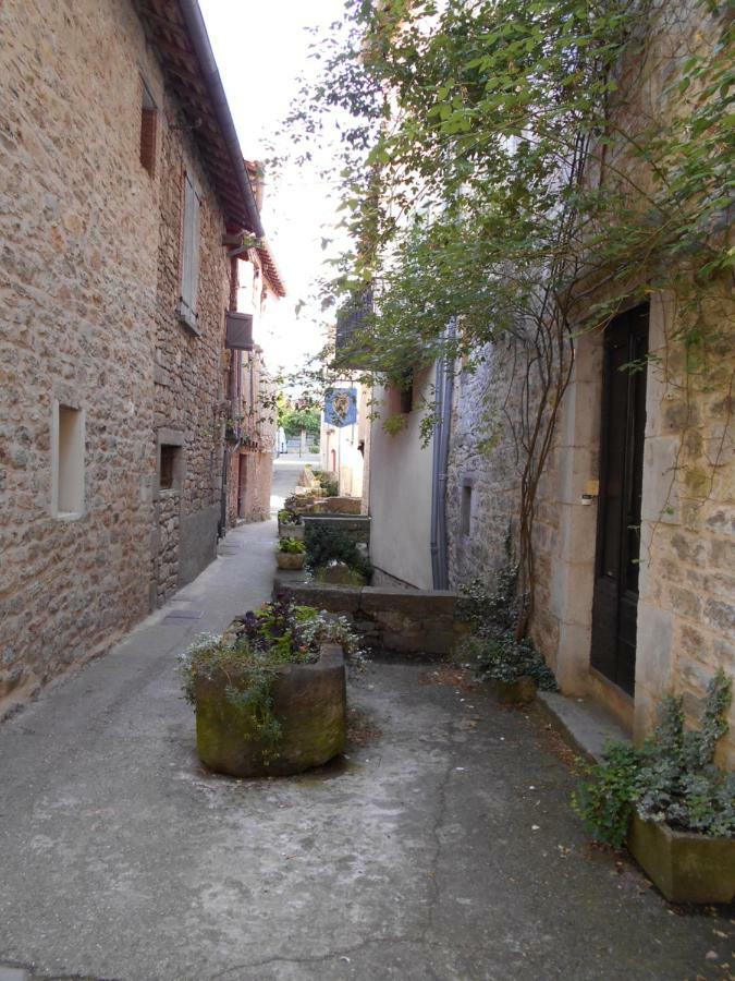 7 Rue Droite Villa Saint-Antonin Kültér fotó