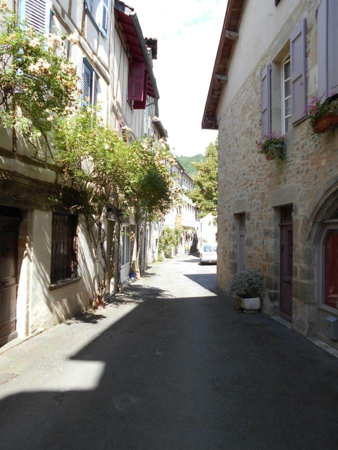 7 Rue Droite Villa Saint-Antonin Kültér fotó